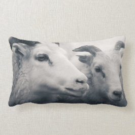 Var snäll lumbarkudde