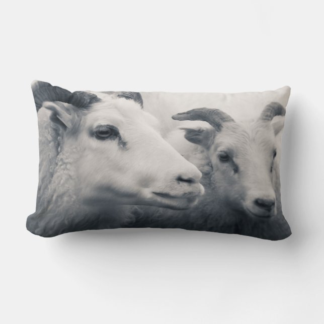 Var snäll lumbarkudde (Framsida)