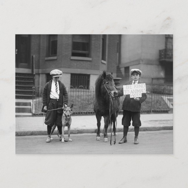 Var snäll mot djur Vecka, 1923 Vykort (Framsida)