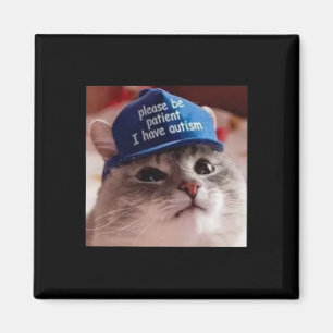 Var Snäll Och Tålamodig Jag Har Autism Katt Rolig Magnet
