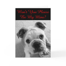 Var snäll och var min Valentine