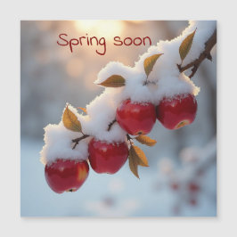 Vår snart snö på röda äpplen