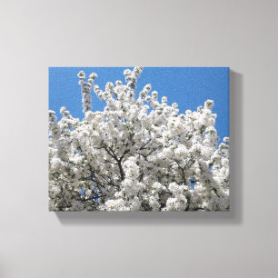 Vår Snö Crabapple Träd i Bloom Canvastryck