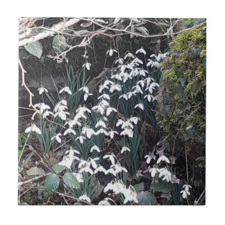 Vår Snödroppar, keramiskt plattor Kakelplatta