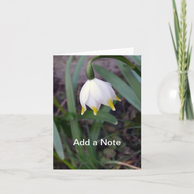 Vår Snowflake Leucojum Anpassade Anteckningskort (Framsida)