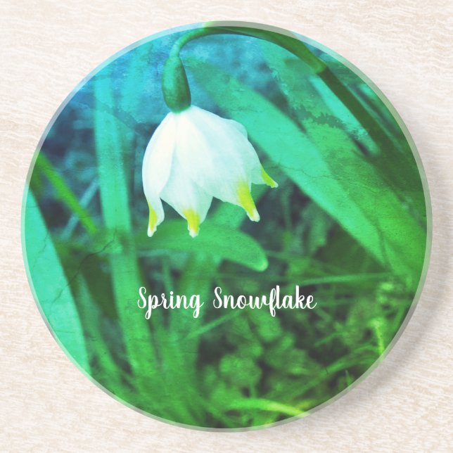 Vår Snowflake Leucojum vernum Flower Underlägg (Framsidan)