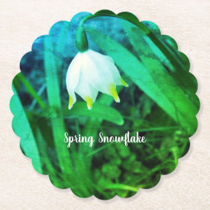 Vår Snowflake Leucojum vernum Flower Underlägg Papper