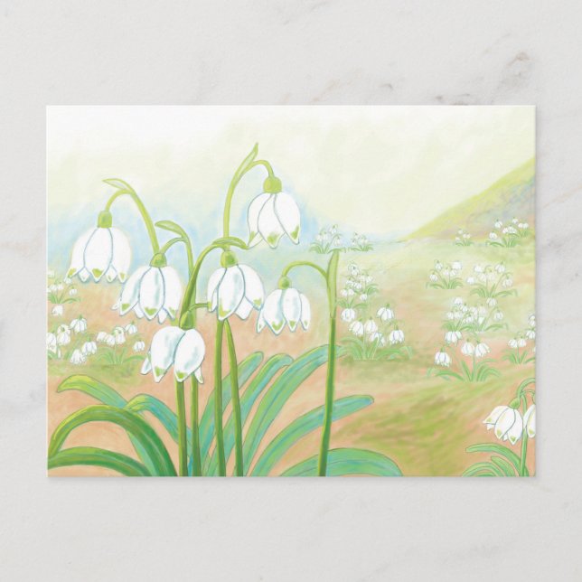 Vår Snowflake, Leucojum vernum Illustration Vykort (Framsida)