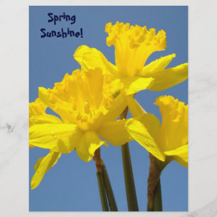 Vår solsken scrapbookpapper Narcisser Blommor