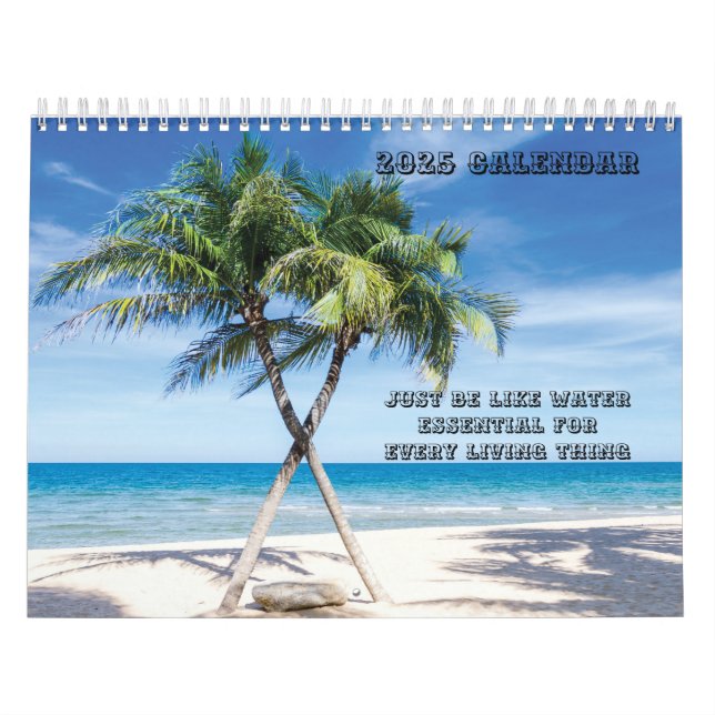 Var som vatten strand älskare 2025 kalender (Omslag)