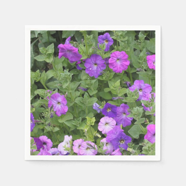 Vår sommar blomster lila Petunia blommor dekoratio Pappersservett (Framsidan)