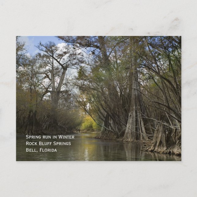 Vår Springa i vintervykort Vykort (Framsida)