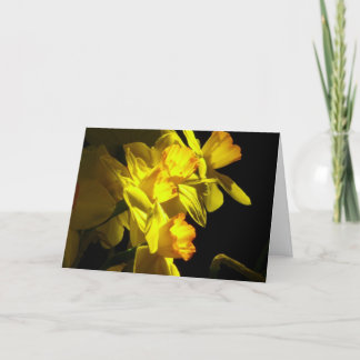 Var stark och takehjärta… kort