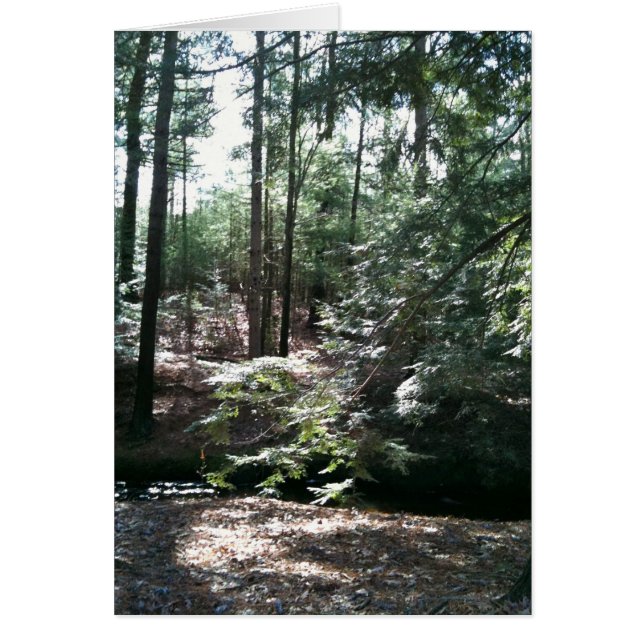 Vår Stroll Hälsningskort (Framsidan)