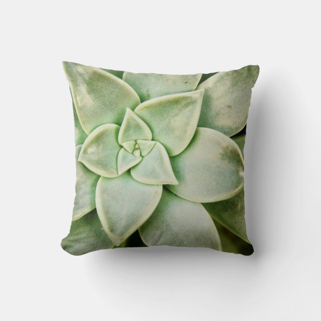 Vår Succulent Kudde (Framsida)