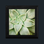 Vår Succulent Minnesask<br><div class="desc">"Vår Succulent I" av Jason Johnson. Har en slutning av en självklar.</div>