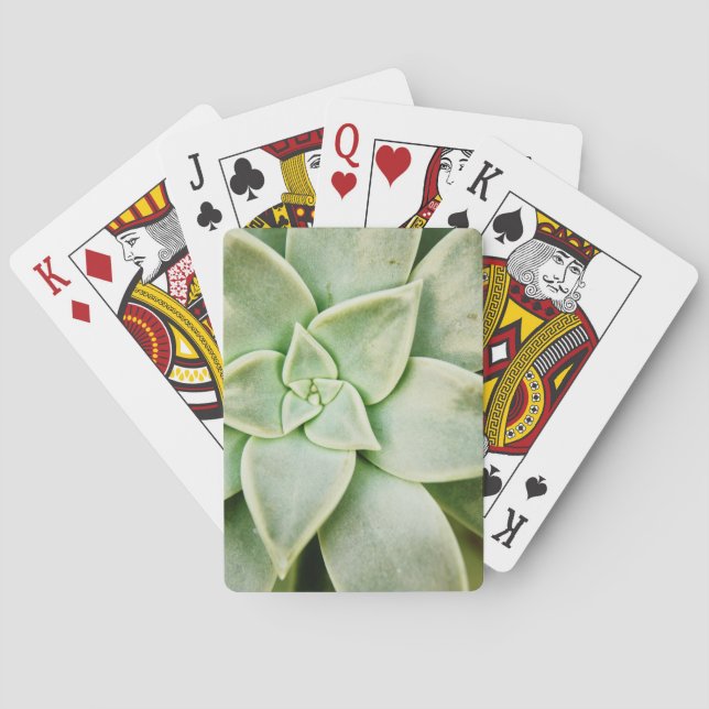 Vår Suckulent Casinokort (Baksidan)