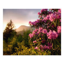 Vår Sunset Mount Mitchell i North Carolina.