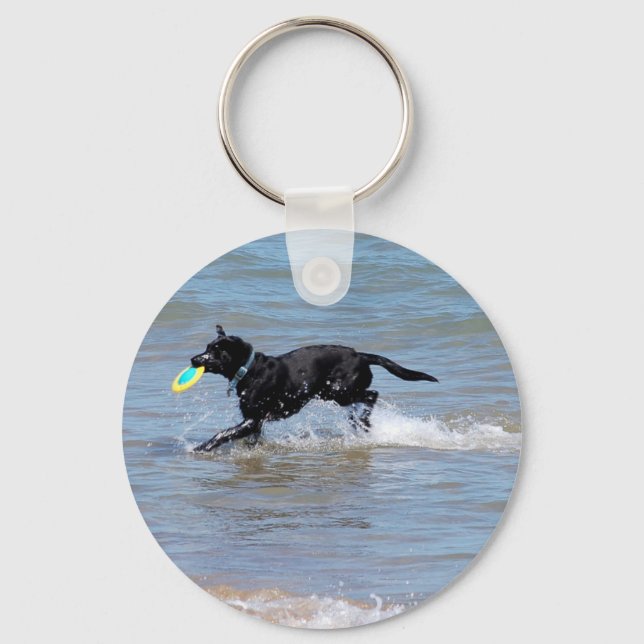 Vår svarta labrador hämtar frisbee från Sjö Nyckelring (Framsida)