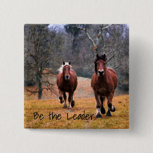 Var Tävlan Leader Horses Knapp