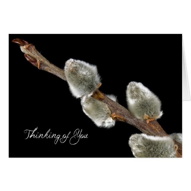 Vår-tecken Hälsningskort (Framsidan Horizontal)