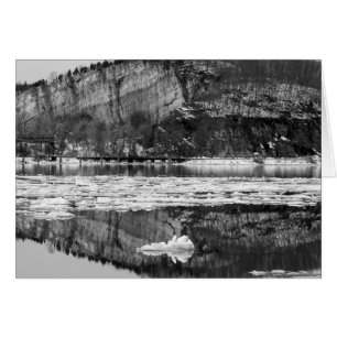 Vår Thaw Black and White Hälsningskort