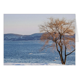 Vår Thaw, Steamboat Dock Hälsningskort