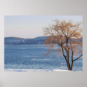Vår Thaw, Steamboat Dock Poster
