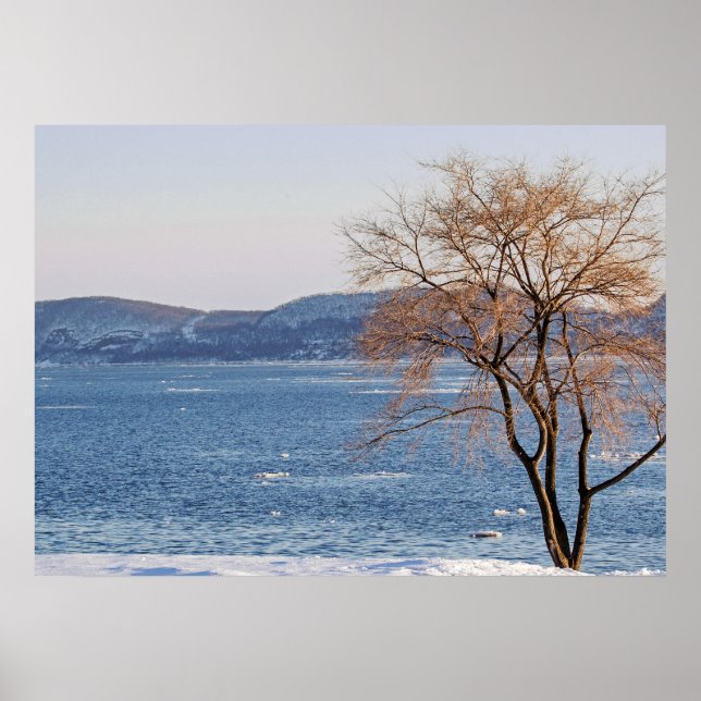 Vår Thaw, Steamboat Dock Poster (Framsidan)