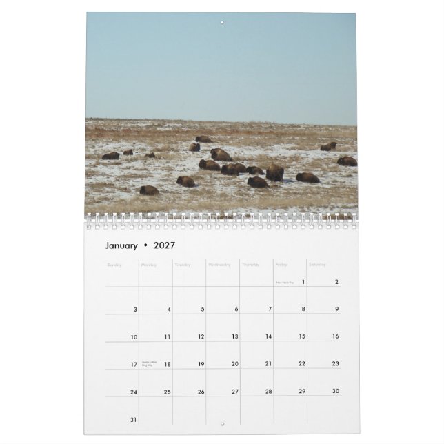Var theBuffaloen strövar omkring Kalender (Jan 2027)