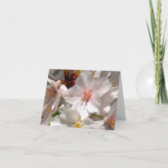 Vår Tid Tack Kort (Framsida)