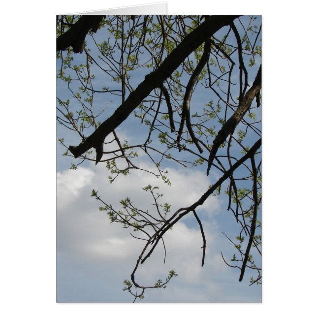 Vår tillväxt hälsningskort (Framsidan)