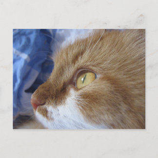 Var tittar du? vykort