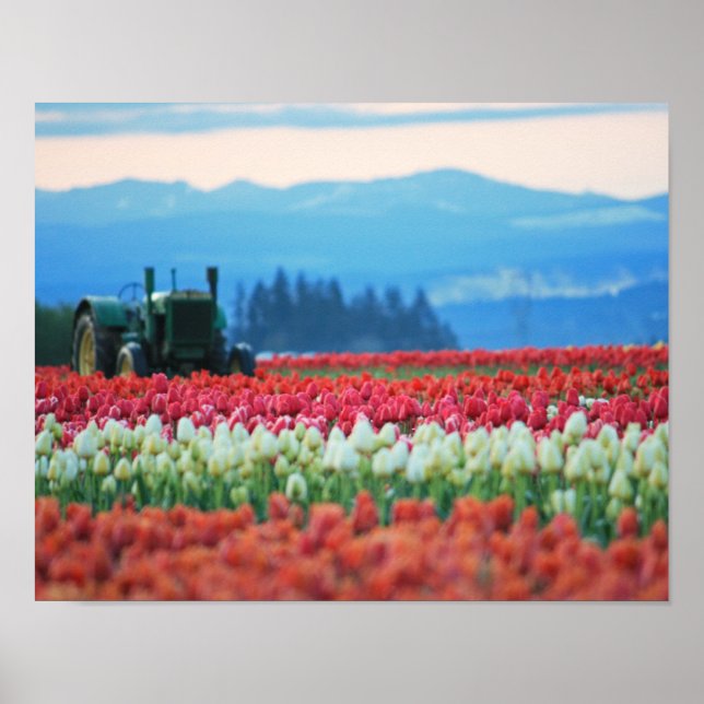 Vår Tractor Poster (Framsidan)