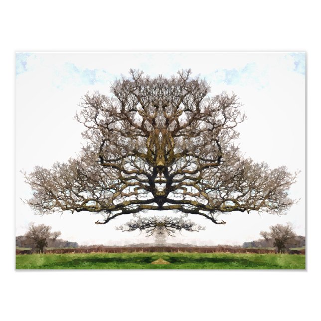 VÅR TRÄD FOTOTRYCK (Framsidan)