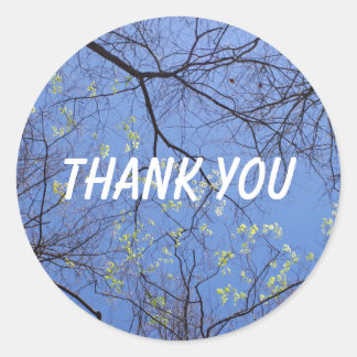 Vår Träd Tack Runt Klistermärke