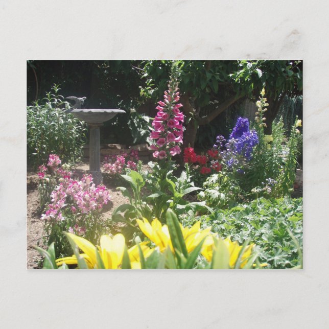 Vår trädgård 2009 006 vykort (Framsida)