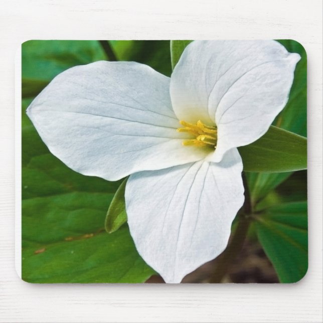 Vår Trillium Musmatta (Framsidan)