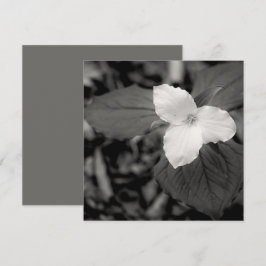 Vår Trillium Svart och Vitt Anteckningskort