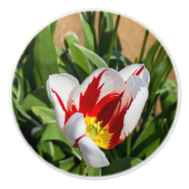Vår Tulip Ceramic Drage Knopp