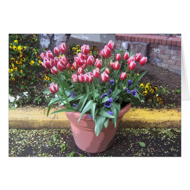 Vår Tulip Clay Pot Hälsningskort (Framsidan Horizontal)