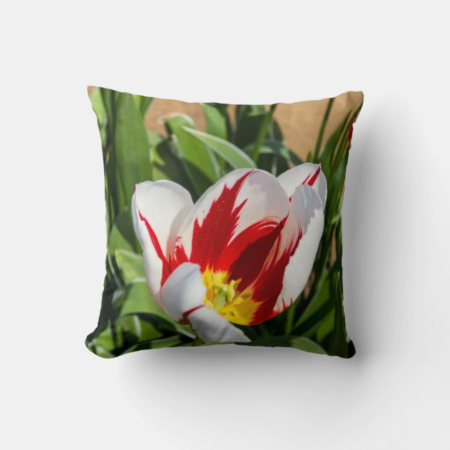 Vår Tulip Dekorativ kudde (Framsida)