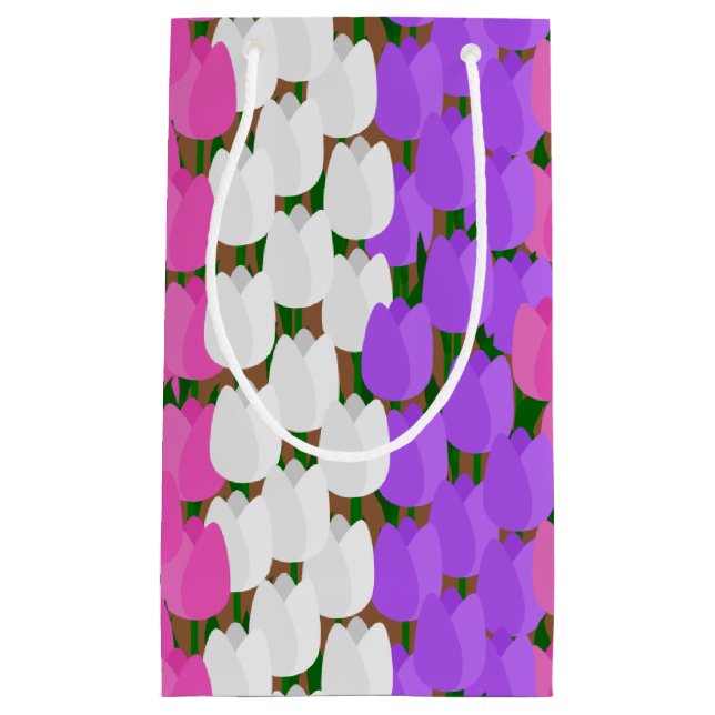 Vår Tulip Fält (Framsidan)