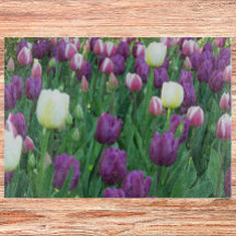 Vår Tulip Garden Blommigt