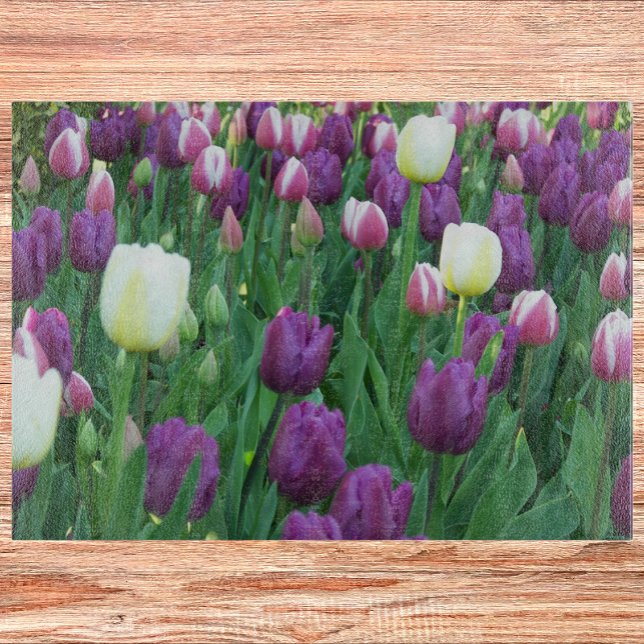 Vår Tulip Garden Blommigt (In Situ)
