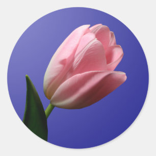 Vår Tulip-kuvert Förseglingsmärke Runt Klistermärke