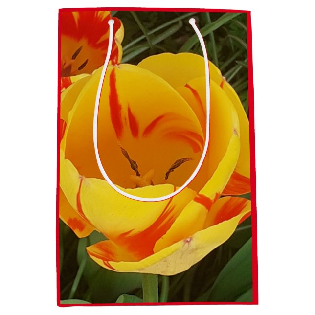 Vår Tulips Gift Bag (Framsidan)