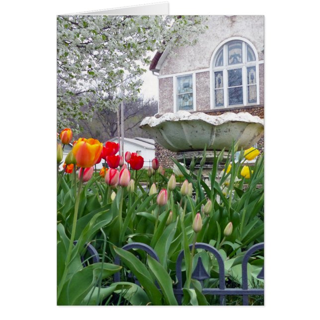 Vår Tulips Hälsningskort (Framsidan)