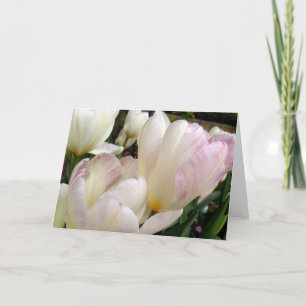 Vår Tulips Kort