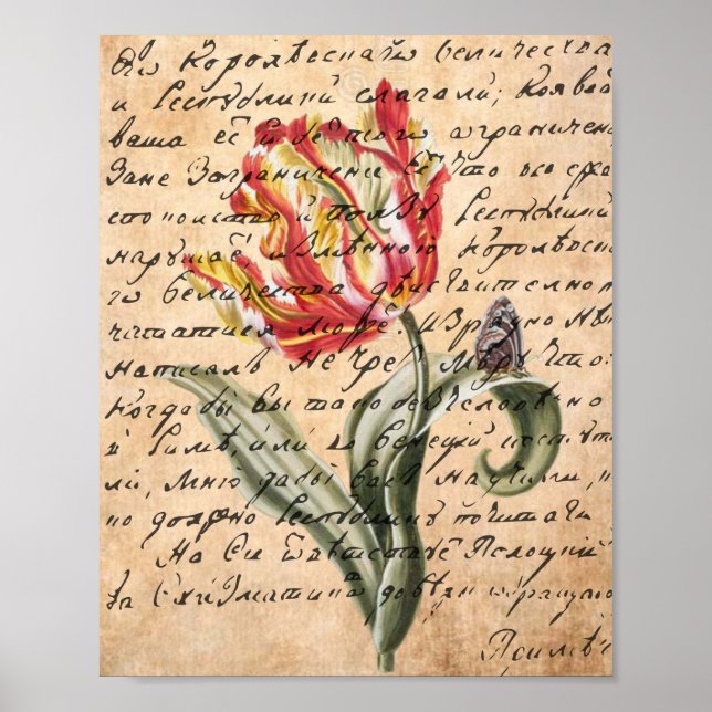 Vår Tulips och handskrift Poster (Framsidan)